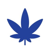 Hemp_cannabis _2