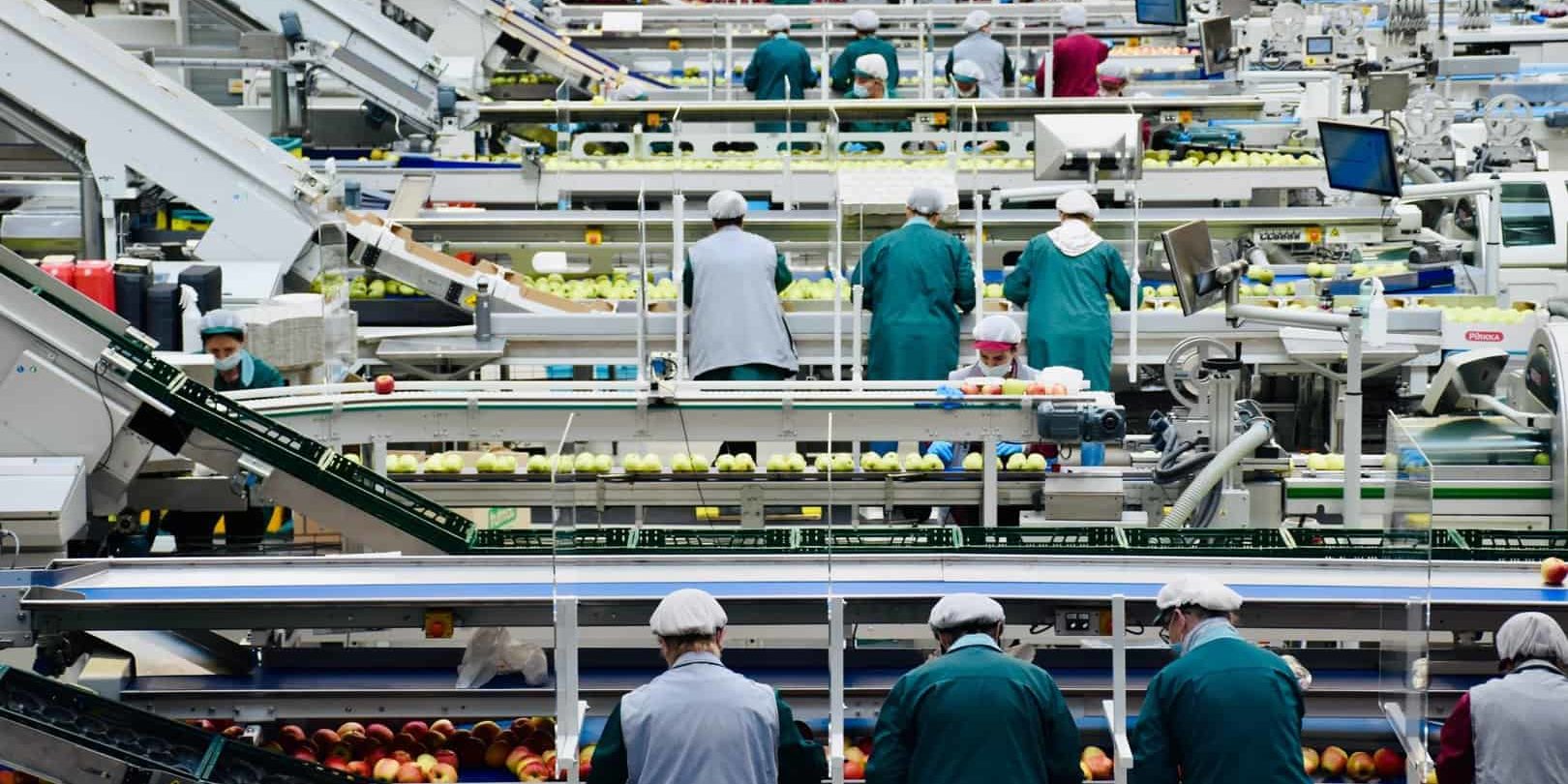 belt conveyor