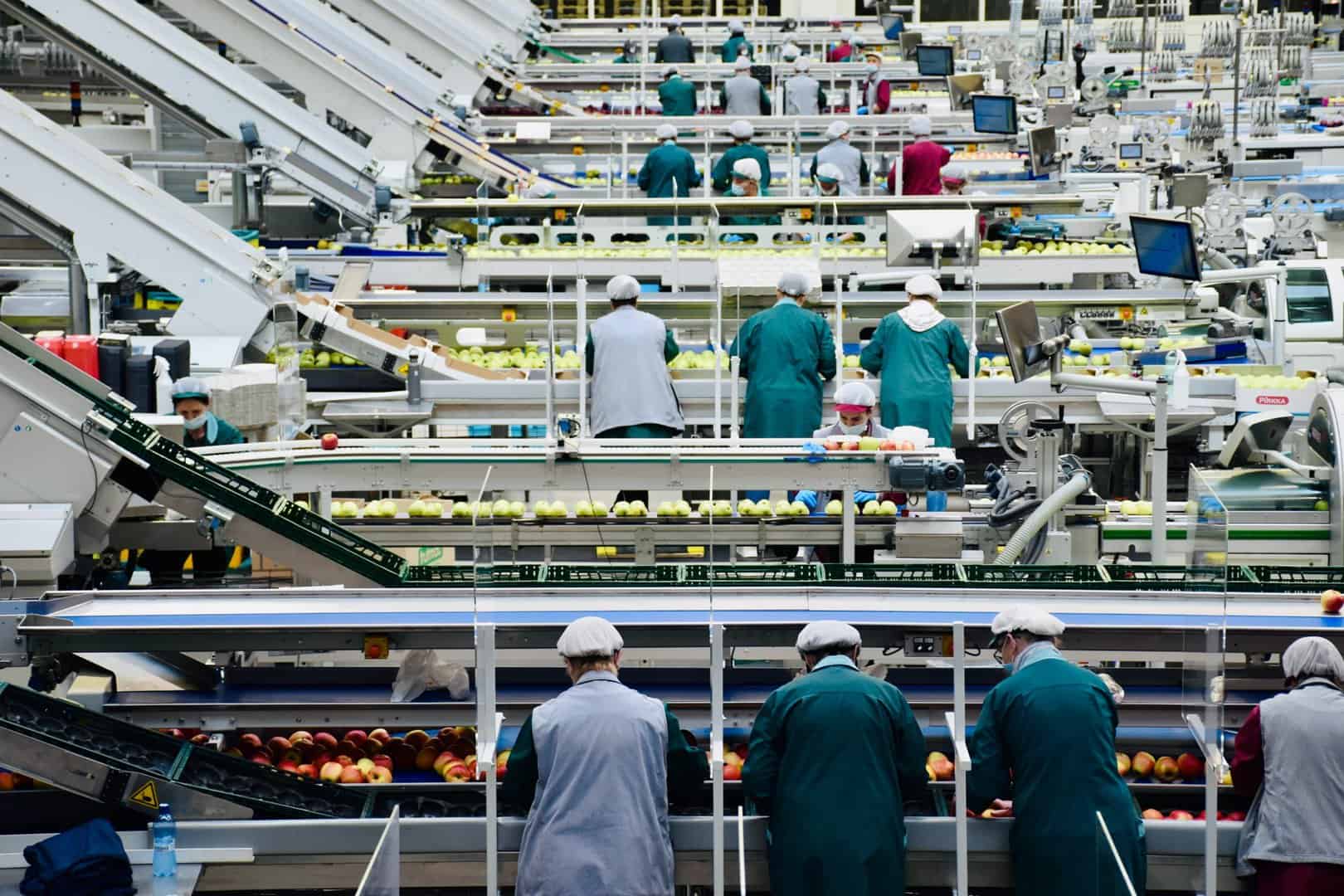 belt conveyor