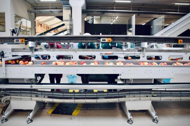 vertical belt conveyor